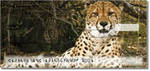 Wildlife