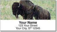 American Bison Address Labels