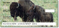 American Bison Checks