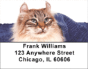 American Curl Labels - American Curl Address Labels