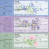 American Wildflowers Desk Set Checks - 1 Box - Duplicates