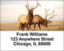 American Wildlife Address Labels