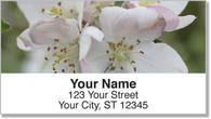 Apple Blossom Address Labels