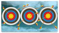 Archery Checkbook Cover