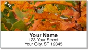 Autumn Brilliance Address Labels
