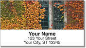 Autumn Ivy Address Labels