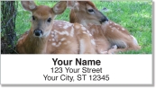 Baby Animal Address Labels
