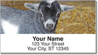 Baby Goat Address Labels