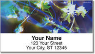 Bacca Tree Address Labels