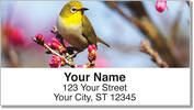 Backyard Bird Address Labels