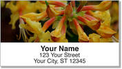 Backyard Flower Garden Address Labels