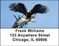 Bald Eagles Address Labels