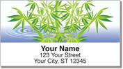 Bamboo Address Labels