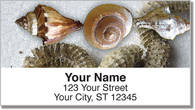 Beach Finds Address Labels