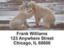 Bears in the Wild Address Labels