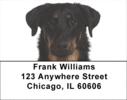 Beauceron Labels - Beauceron Address Labels
