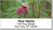 Bee Address Labels