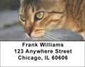 Bengal Cat Labels - Bengal Cats Address Labels