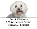 Bichon Frise Labels - Bichon Frise Address Labels