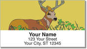 Big Buck Address Labels