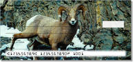 Big Horn Sheep Checks