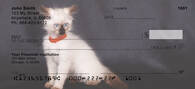 Birman Kittens Personal Checks