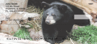 Black Bear Checks - Black Bears Personal Checks