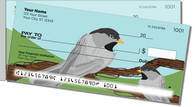 Black-Capped Chickadee Side Tear Checks