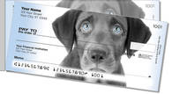 Black Lab Pup Side Tear Checks