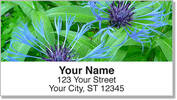 Blue Flower Address Labels