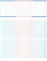 Blue/Red Blank Stock High Security Top Voucher Computer Check