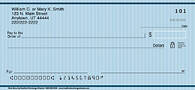 Blue Security Personal Checks