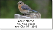 Bluebird Address Labels