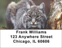 Bobcat Labels - Bobcats Address Labels