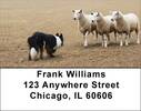 Border Collie at Work Address Labels