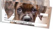 Boxer Pup Side Tear Checks