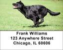 Brilliant Black Labs Address Labels