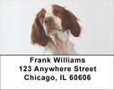 Brittany Spaniels Address Labels