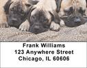 Bullmastiff Address Labels