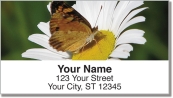 Butterfly Garden Address Labels