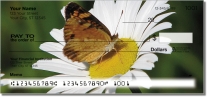 Butterfly Garden Checks