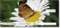 Butterfly Garden Checks