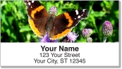 Butterfly & Moth Address Labels
