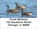 Canada Geese Labels - Canadian Geese Address Labels