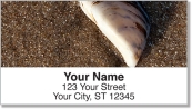 Caribbean Beach Address Labels