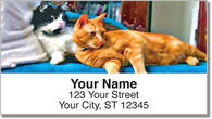Cat Nap Address Labels