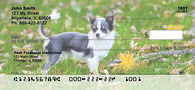 Charming Chihuahua Personal Checks