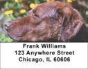 Chesapeake Bay Retriever Address Labels - Retrievers Labels