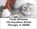 Christmas Cats Address Labels