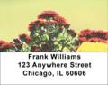 Chrysanthemum Labels - Mums the Word Address Labels